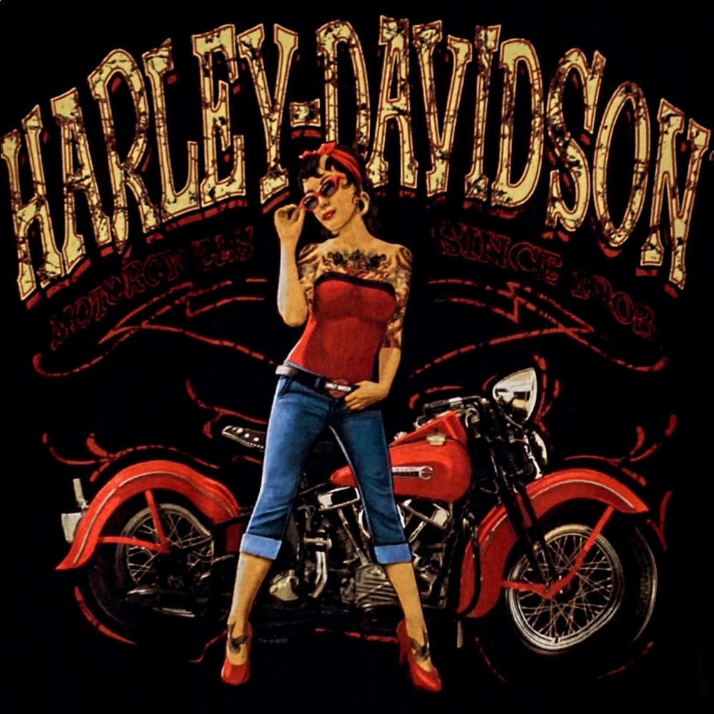 Men’s Harley Davidson T-shirt